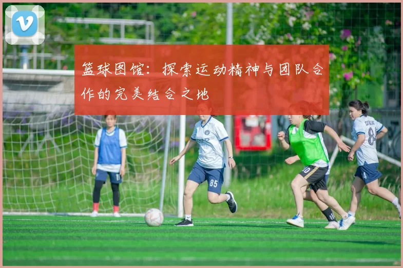 篮球图馆：探索运动精神与团队合作的完美结合之地