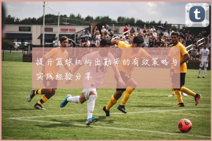 提升篮球机构出勤率的有效策略与实践经验分享