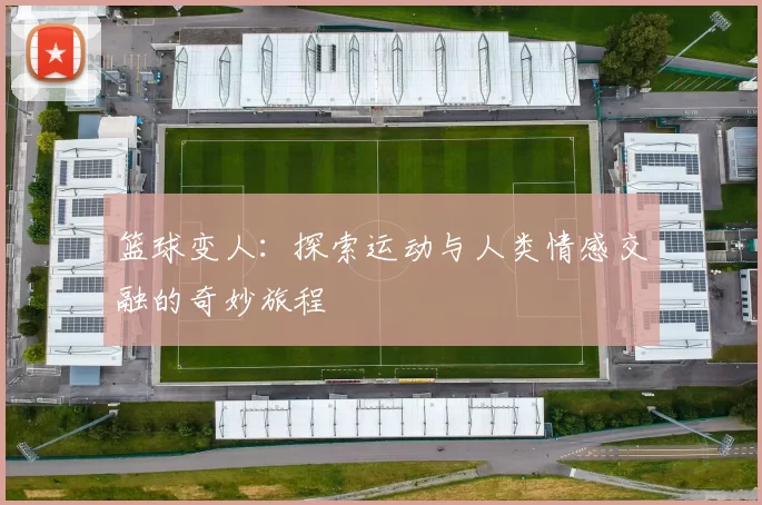 篮球变人：探索运动与人类情感交融的奇妙旅程