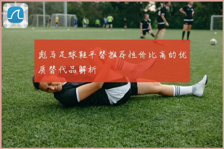 彪马足球鞋平替推荐性价比高的优质替代品解析